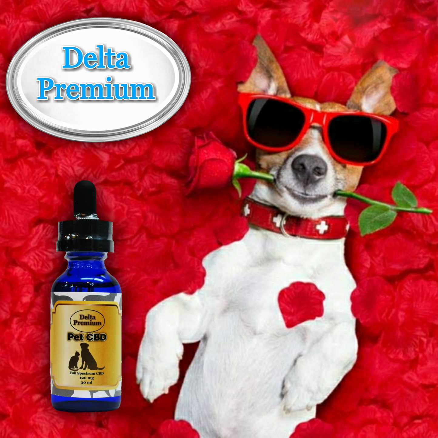 CBD oil Pet Tincture Oil 300mg CBD 30ml bottle