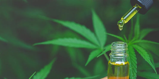 What you need to know about CBD