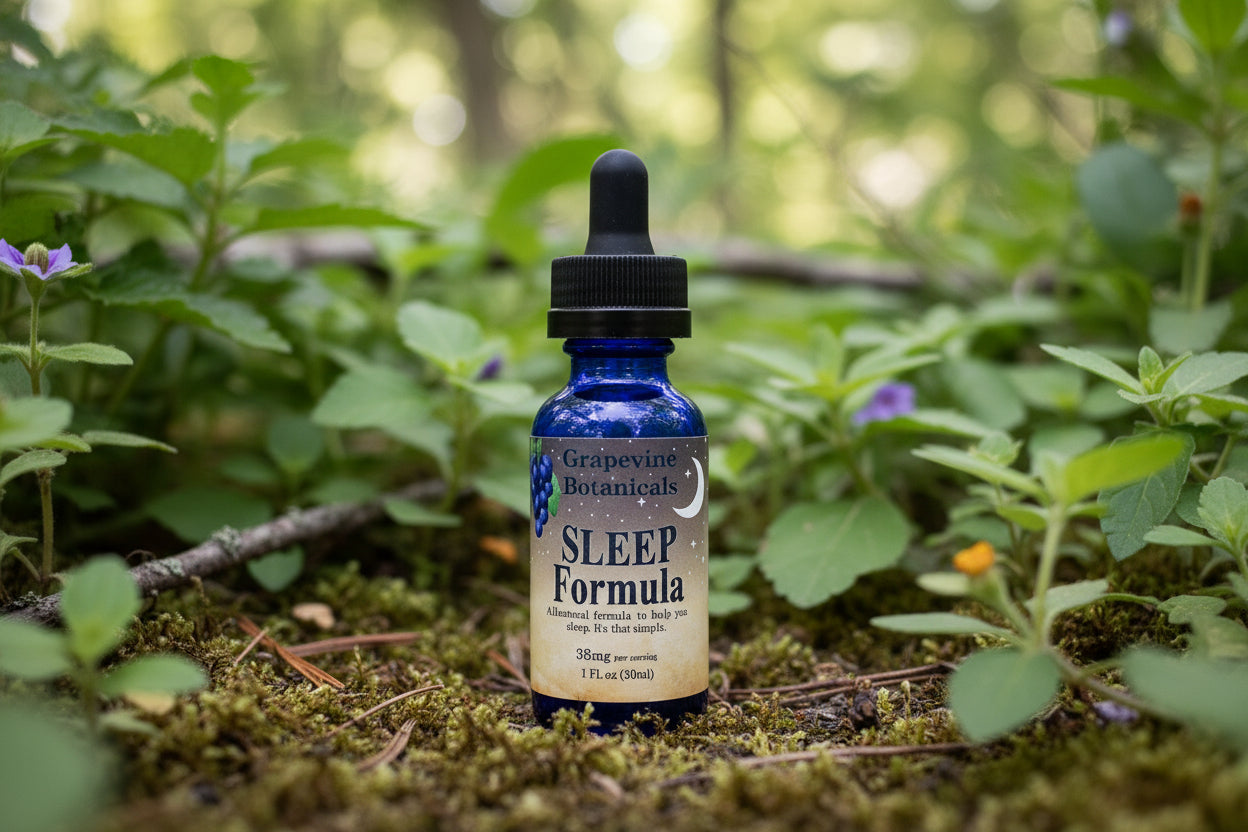 Bottle of 'Sleep Formula' tincture surrounded by greenery