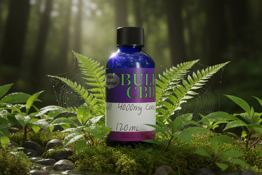 Botanical extract Oil Full Blend Bulk Tincture Oil